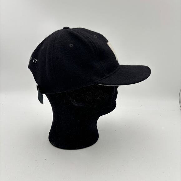 Ebbets Field Flannels Pilot Project Hat Leather Strapback - Picture 3 of 11